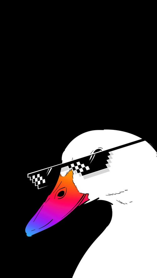 White duck wearing pixelated sunglasses and a rainbow beak