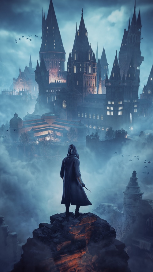 Hogwarts Legacy game with a wizard overlooking the castle