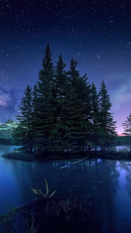 Trees reflected in a lake under a starry sky