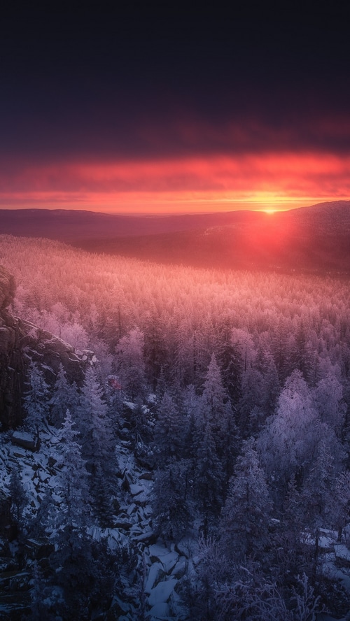 Snowy forest at sunset with mountains