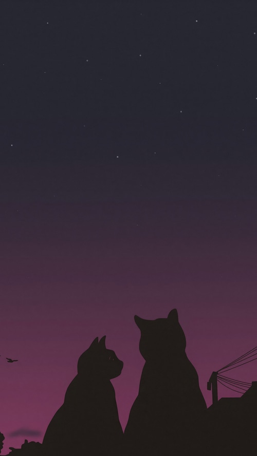 Two cats silhouetted against a starry night sky