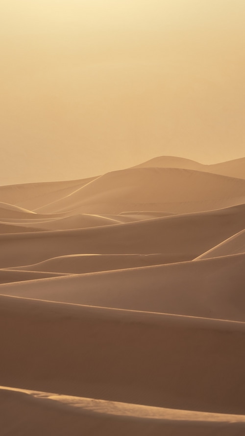 Golden desert sand dunes at sunset