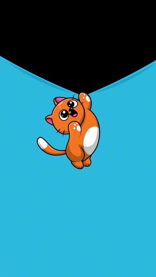 Cute orange cat hanging from a black and blue background