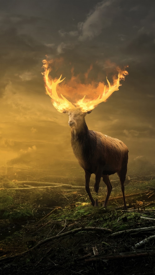 Deer with flaming antlers in a forest