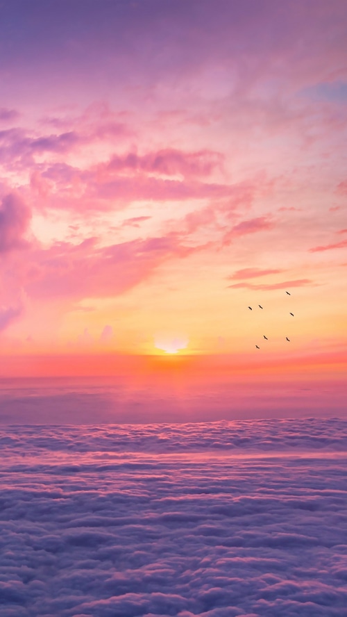 Sunset over a sea of clouds with birds flying