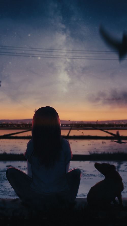 Anime girl and dog watching the sunset over rice fields