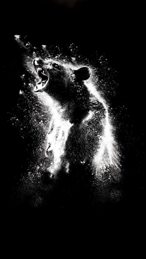 Cocaine Bear exploding in white powder