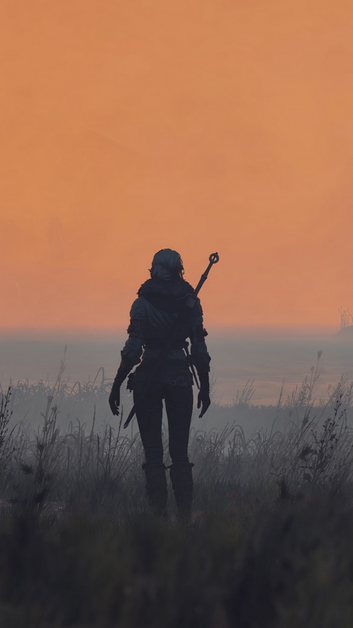 The Witcher 3 Geralt in a foggy field
