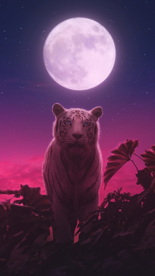 White tiger under a large moon