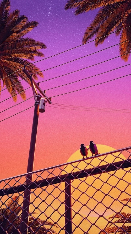 Two birds on a fence with palm trees and sunset
