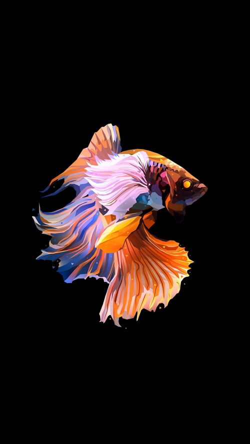 Digital artwork of a colorful betta fish
