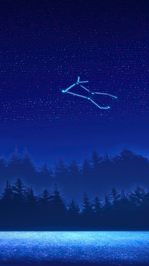 Constellation over a forest and water