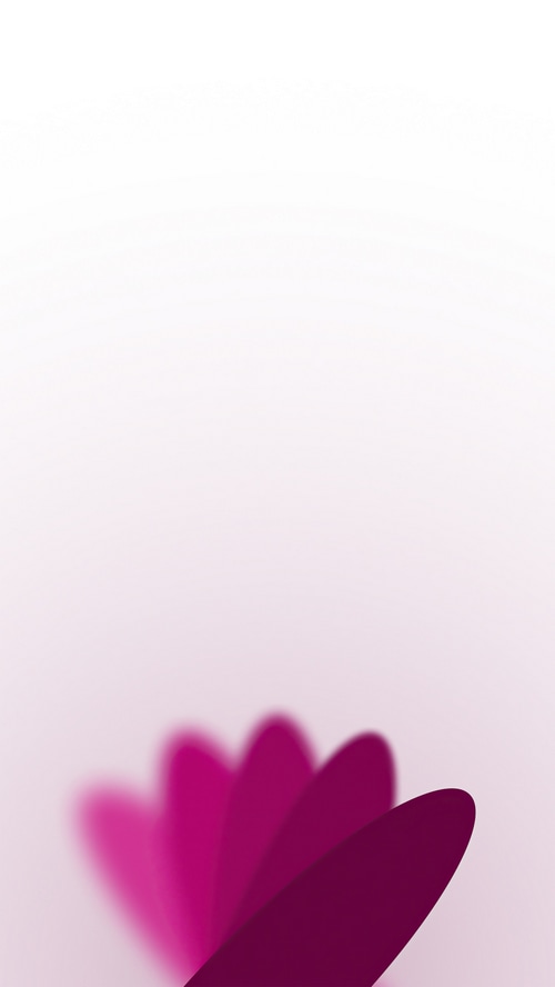 Pink and purple flower petals with blur effect
