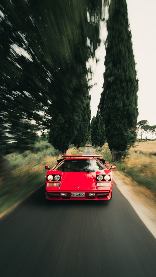 Red Lamborghini Countach driving down a tree-lined road