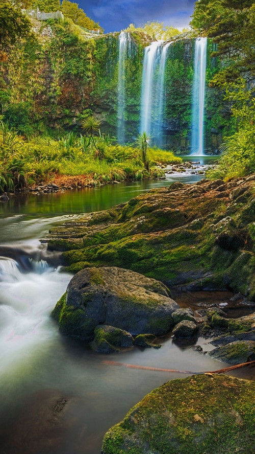 Waterfall in a lush green forest