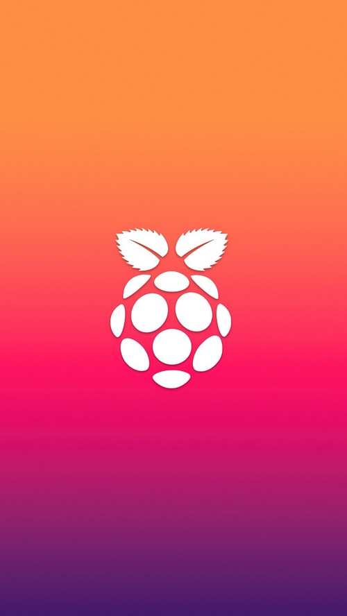 Raspberry Pi logo on a gradient background
