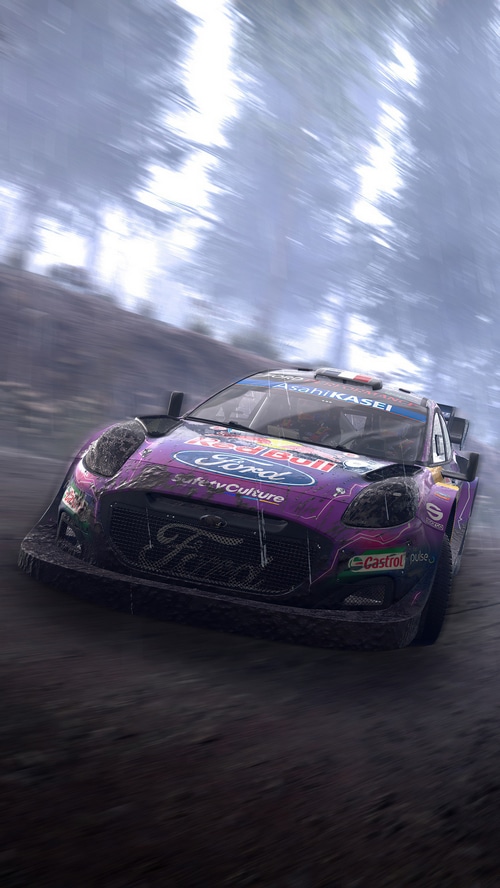 WRC Generations Ford Rally Car on Dirt Track
