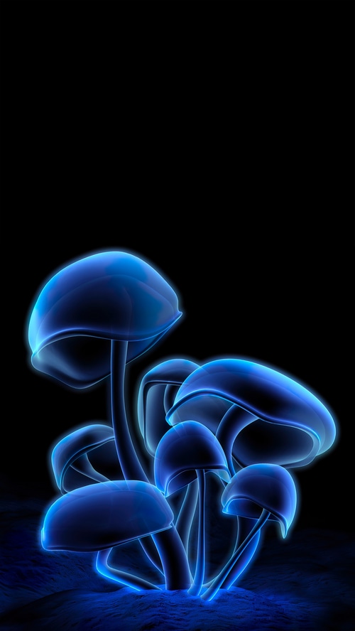 Digital art of glowing blue mushrooms on black background