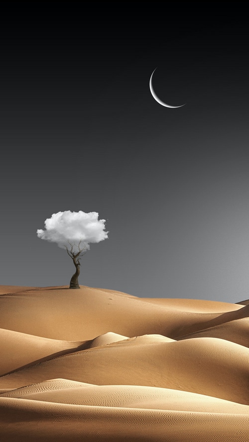 Desert landscape with a tree and a crescent moon