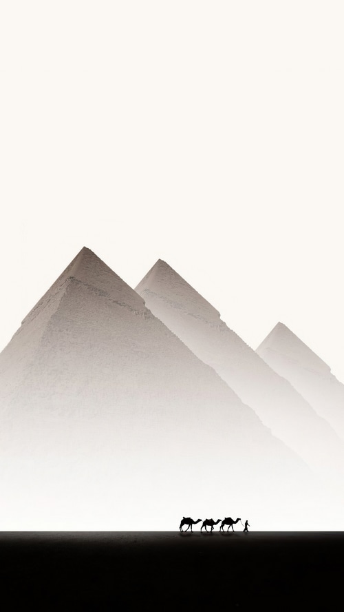 Camels and pyramids in the desert