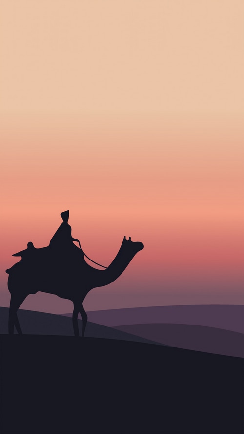 Minimalist desert scene with a camel rider at sunset