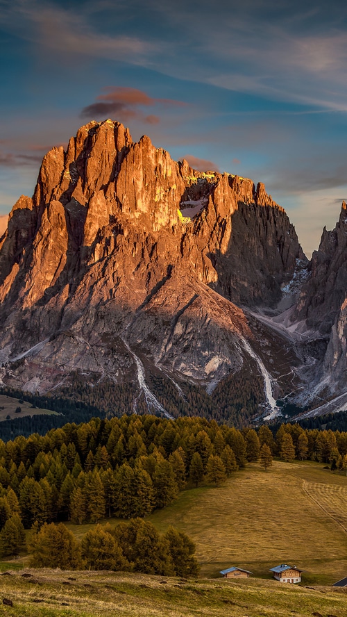 Golden hour illuminates jagged mountains above a pine forest and alpine meadows.