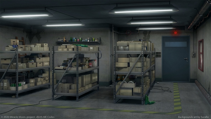 Storage room with shelves and boxes