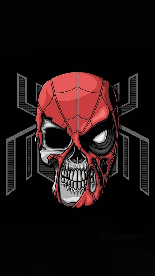 Spiderman Skull Artwork
