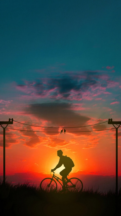 Silhouette of a person riding a bicycle at sunset