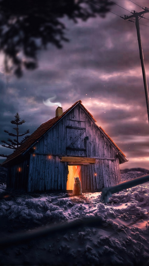 Bear in a wooden cabin at dusk