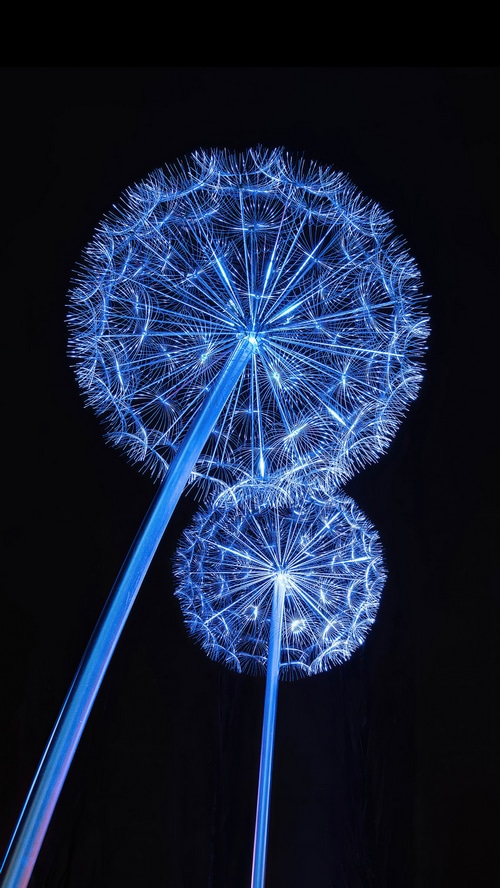 Two illuminated dandelion sculptures on a black background