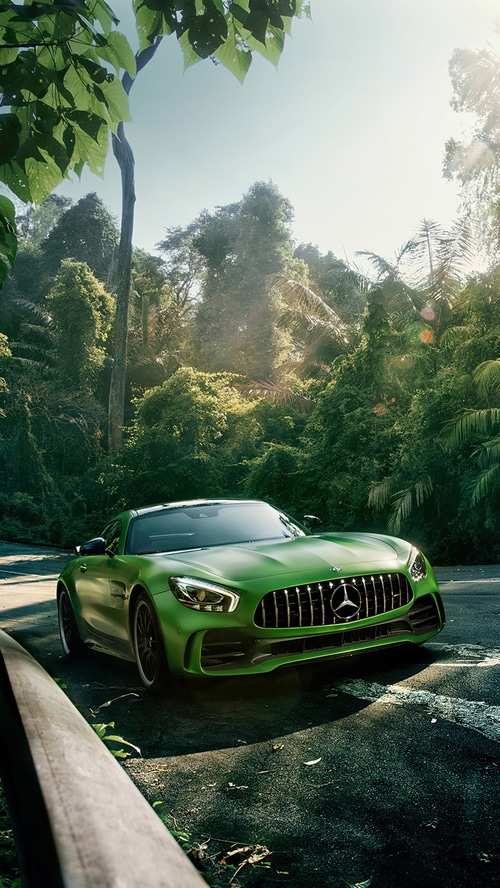 Green Mercedes-AMG GT R in a Tropical Forest