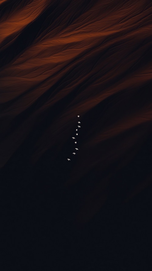 Birds flying in formation over dark landscape