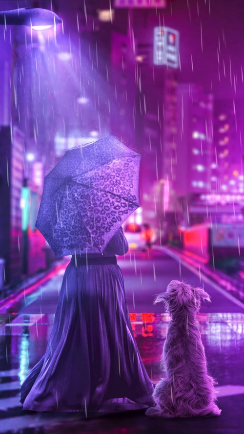 Woman with umbrella and dog in rainy city