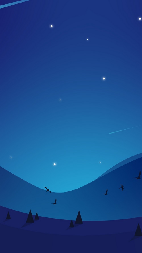 Minimalist night landscape with stars and birds