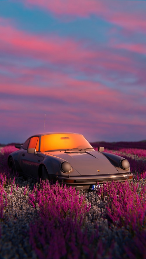Porsche 911 in a field of flowers at sunset