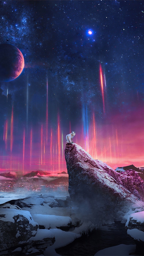 White wolf on a rock overlooking a city under a starry sky