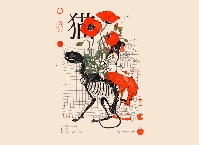 Cat skeleton, poppies, and a girl by mochipanko