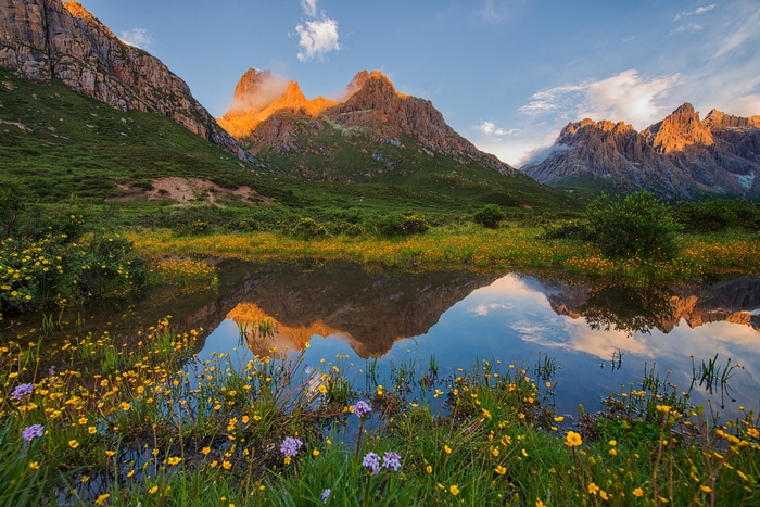 Nianbaoyuze National Park mountains reflected in a lake with flowers