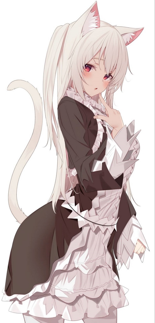 #5443255 cat ears, maid outfit, blushing, cat girl, maid, white ...