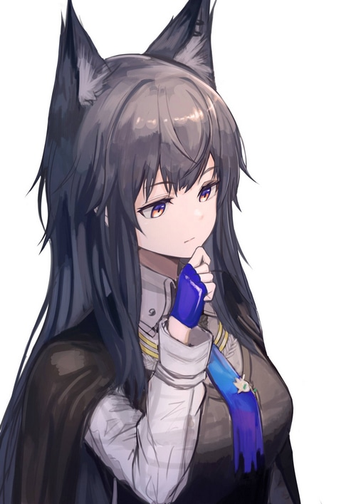 Texas from Arknights with fox ears and gloves
