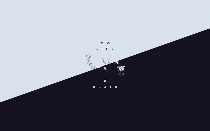 Life and Death with Cherry Blossoms
