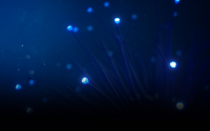 Glowing blue bioluminescent organisms in dark water