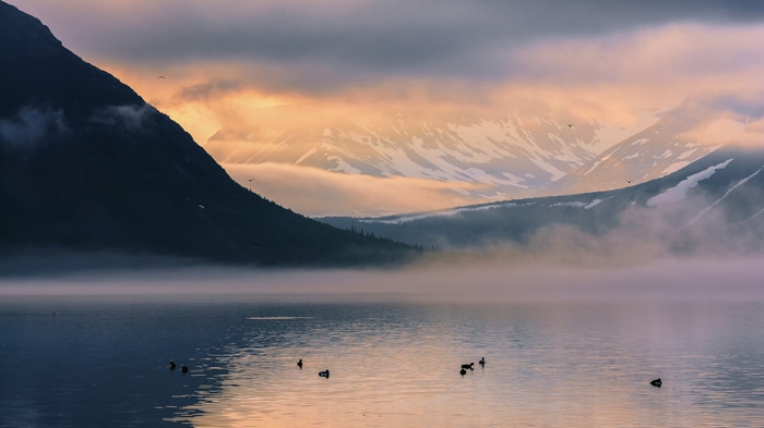 Ducks on a misty lake with mountains at sunrise