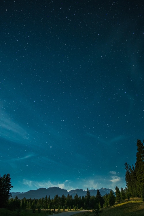 Starry night sky over mountains and pine forest