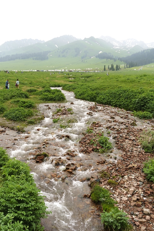 Xinjiang Grassland with Mountains and Creek