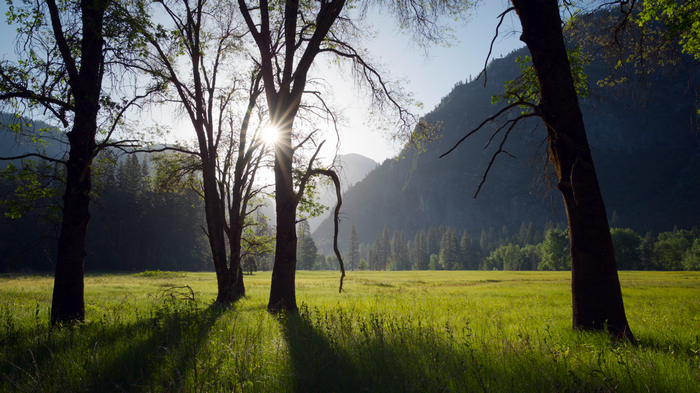 4K nature film stills from A Perfect Planet