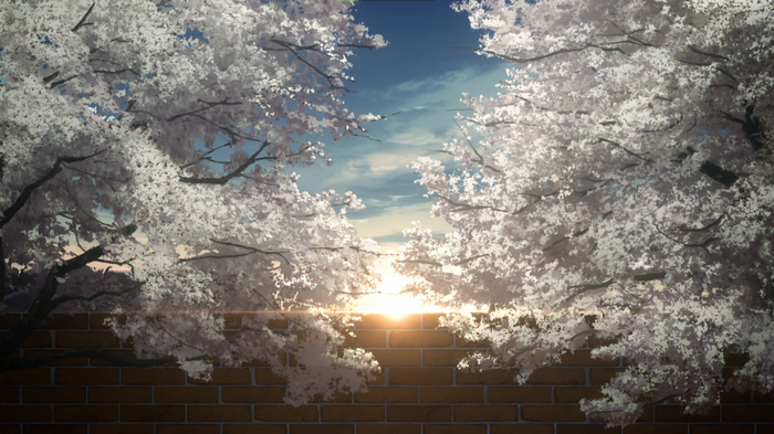 Anime screenshot of cherry blossoms and sunrise over a brick wall