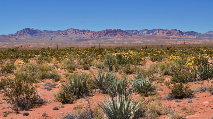 Desert landscape with mountains in Nevada