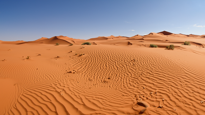 Sahara desert landscape with sand dunes and blue sky